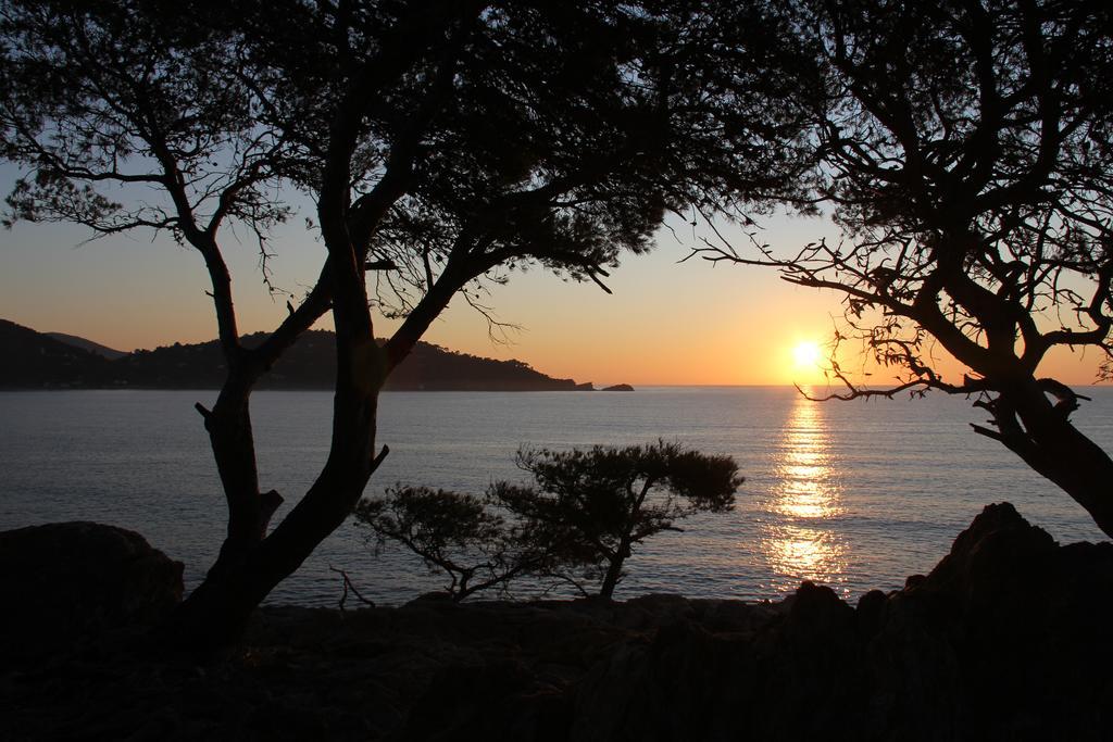 Auberge Du Cap Negre Le Lavandou Eksteriør bilde