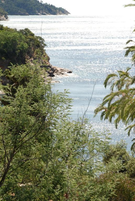 Auberge Du Cap Negre Le Lavandou Eksteriør bilde