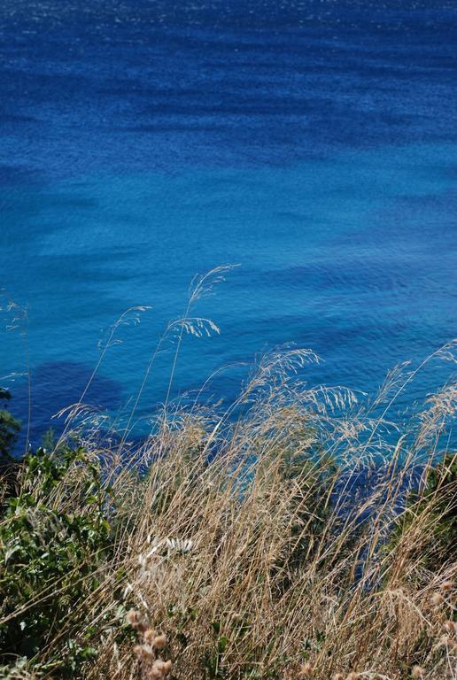 Auberge Du Cap Negre Le Lavandou Eksteriør bilde